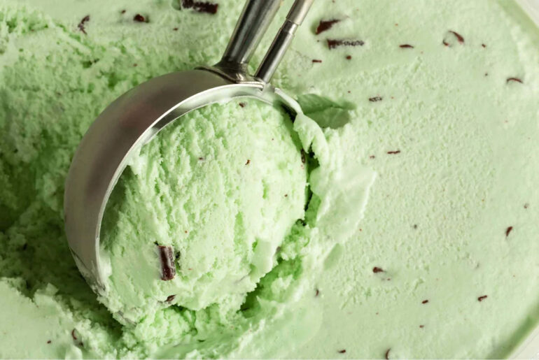 I Asked 4 Chefs To Name the Best Mint Chocolate Chip Ice Cream (They All Said the Same Brand)