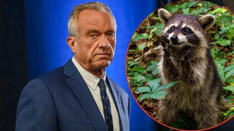 He once chopped off a dead raccoon's private parts to 'study'.mega/unsplash