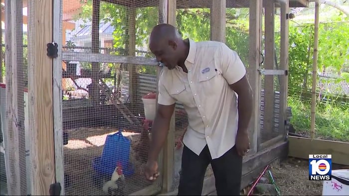 Chef Creole owner says loss of Haitian TPS workers is raising labor costs