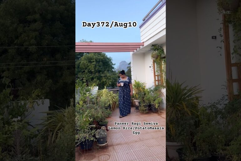 Day372: Paneer Ragi Semiya #food #cooking #recipe #tamil #home #kitchen #school #lunch #snacks #new