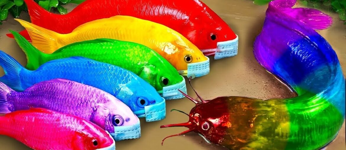 Best Of Small Fish Recipe | MINIATURE Fish Cooking Made EASY with Simple Recipe