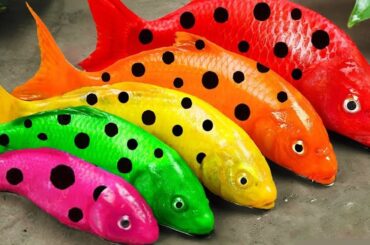 Best Of Small Fish Recipe | MINIATURE Fish Cooking Made EASY with Simple Recipe