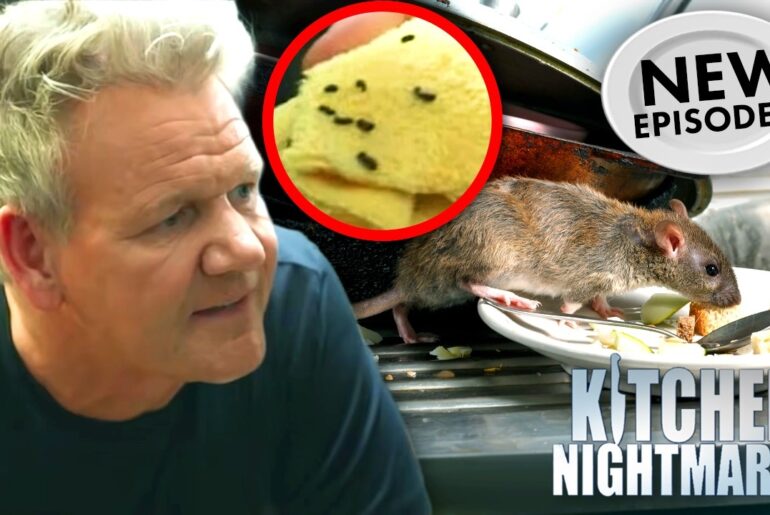 "You're Serving Food With Rat S#!t Above It!" | NEW Kitchen Nightmares COMPILATION