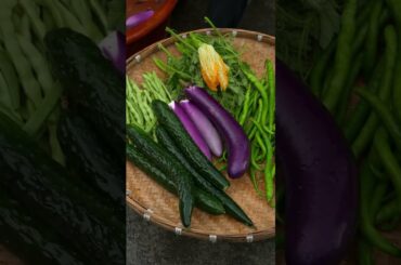 Chinese Corn, Eggplant & Chili Delicious Food Making | Traditional Cooking