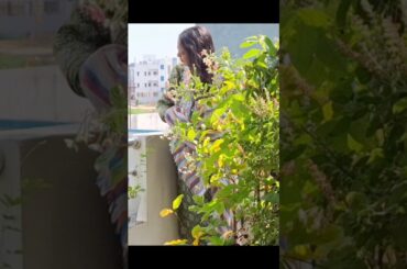 minivlog 🪷✨️#motivation#cooking #dailyvlog#telugu#flowers#shorts  #teluguvlogs #yt #food #vlogger