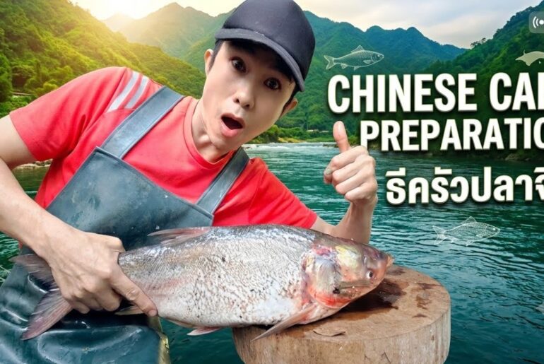 The cat eats fish. Fish cooking techniques